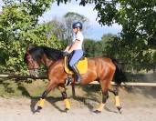 Kyria TD - Jument PRE - 5 ans