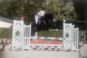 Top jeune cheval 