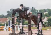 Top jeune cheval 