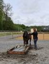 Jument polyvalente OC (Quarter x Poney D)