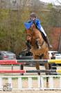 Cheval de sport 8 ans – Origines Top – Potentiel 135/14