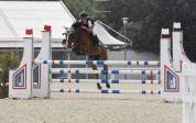 ?SUPER PONY?