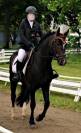 DP PONEY DE DRESSAGE