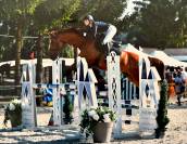 Hongre SF 8 ans Houblon de Bourbon ( Away Semilly)