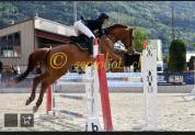 Hongre SF 8 ans Houblon de Bourbon ( Away Semilly)