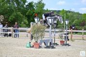 Hongre de 5ans CSO