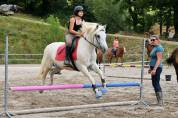 jument camargue 