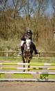 Connemara PP 8 ans
