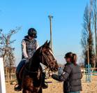 ECURIE PROPRIETAIRES - TOULOUSE L UNION 10 MIN
