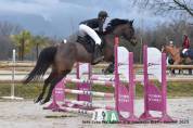 Vends jument Pur Sang 8 ans