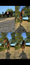 À vendre - Pur-Sang hongre de 4 ans