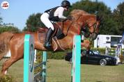 Cheval de 8ans KWPN