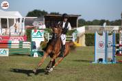 Cheval de 8ans KWPN