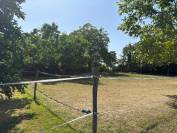 BELLE LONGERE