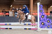Exceptionnel Shetland pour CSO
