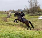 Pension chevaux bien être  / enseignement 