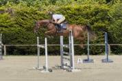Jument facile 6 ans potentiel 1.40m/1.45m