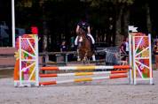 Ponette C