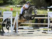 Cheval à vendre
