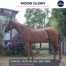 MOON GLORY - PS - 4 ANS
