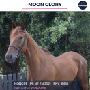 MOON GLORY - PS - 4 ANS