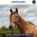 MOON GLORY - PS - 4 ANS