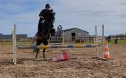 poney  de compagnie ou loisir