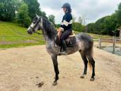 Cheval PRE 