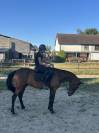 Trotteur 3 ans reformé 