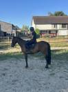 Trotteur 3 ans reformé 