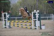 IN VENDITA PONY SALTO OSTACOLI ⭐️