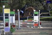 IN VENDITA PONY SALTO OSTACOLI ⭐️