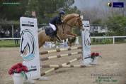 IN VENDITA PONY SALTO OSTACOLI ⭐️