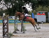 Jolie jument 12 ans