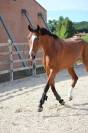 4 anni femmina super saltatrice