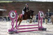 Ponette DSA de sport, 6 ans, 148 cm – Direct éleveur