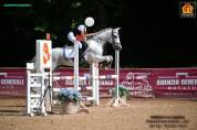 Vendo Pony
