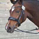 Ponette D