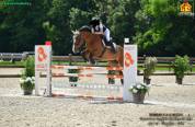Cavallo da salto