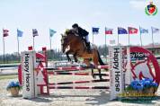 Cavallo da salto