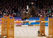 Jeune cheval prometteur - 2 ans