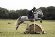 À VENDRE – PONEY DE CCE AS PONEY ÉLITE GRAND PRIX