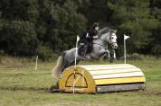 À VENDRE – PONEY DE CCE AS PONEY ÉLITE GRAND PRIX