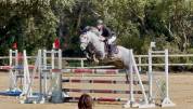 À VENDRE – PONEY DE CCE AS PONEY ÉLITE GRAND PRIX