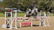 À VENDRE – PONEY DE CCE AS PONEY ÉLITE GRAND PRIX