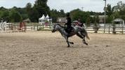 À VENDRE – PONEY DE CCE AS PONEY ÉLITE GRAND PRIX