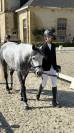 À VENDRE – PONEY DE CCE AS PONEY ÉLITE GRAND PRIX