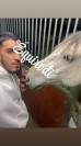 Sofien 36 ans recherche poste de palefrenier (logé)
