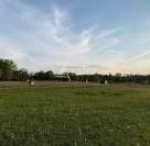 Maison avec logement indépendant et 10 ha de prairies clôturé