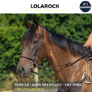 LOLAROCK - AQPS - 4 ANS